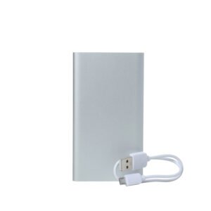 Mobile Battery