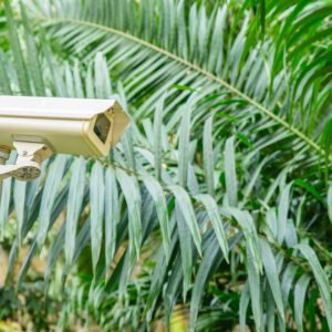 Outddoor Camera